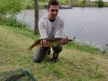 Hecht