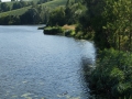 See 3