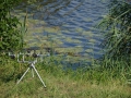 See 3