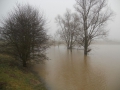 See 3 bei Hochwasser